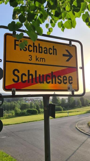 Fewo Sperlingskauz Mit Pool, Sauna & Hochschwarzwaldcard シュルッフゼー エクステリア 写真