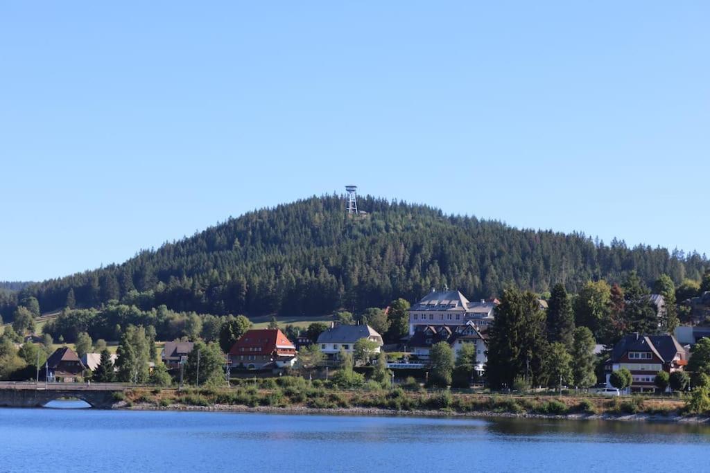 Fewo Sperlingskauz Mit Pool, Sauna & Hochschwarzwaldcard シュルッフゼー エクステリア 写真