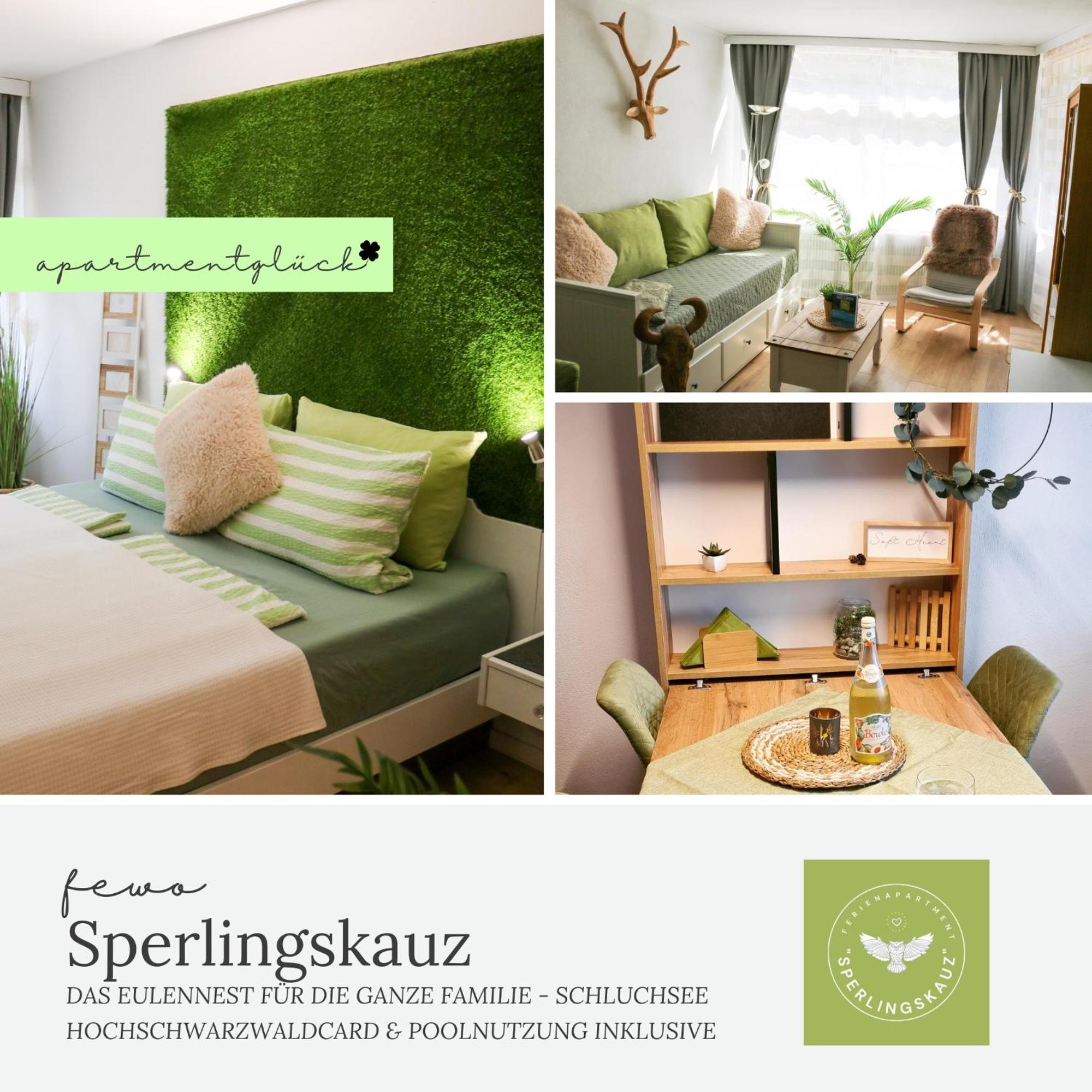 Fewo Sperlingskauz Mit Pool, Sauna & Hochschwarzwaldcard シュルッフゼー エクステリア 写真